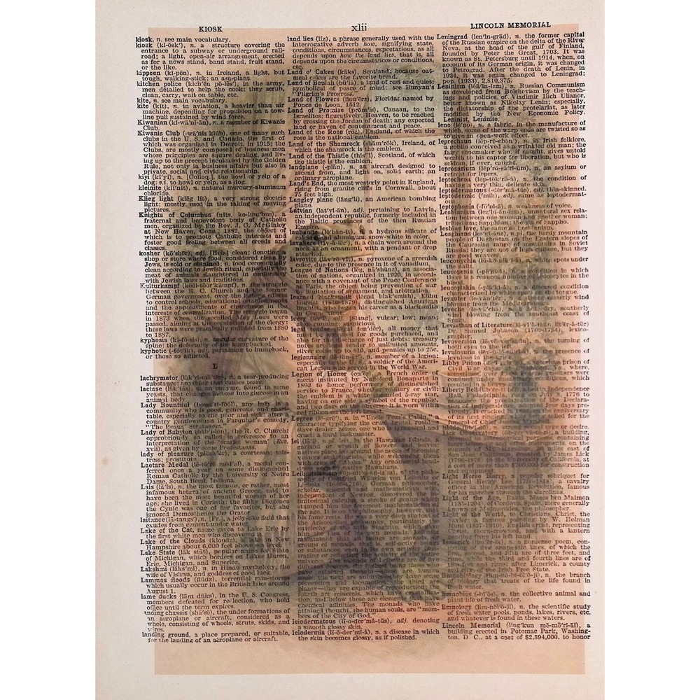 Frog Tea Window Dictionary Page Art Whimsical Cottagecore Vintage Paper Print